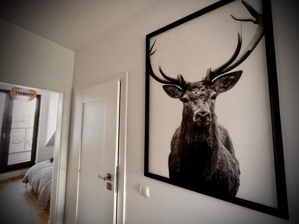 Lazy Deer - Apartamenty イェレニャ・グーラ エクステリア 写真